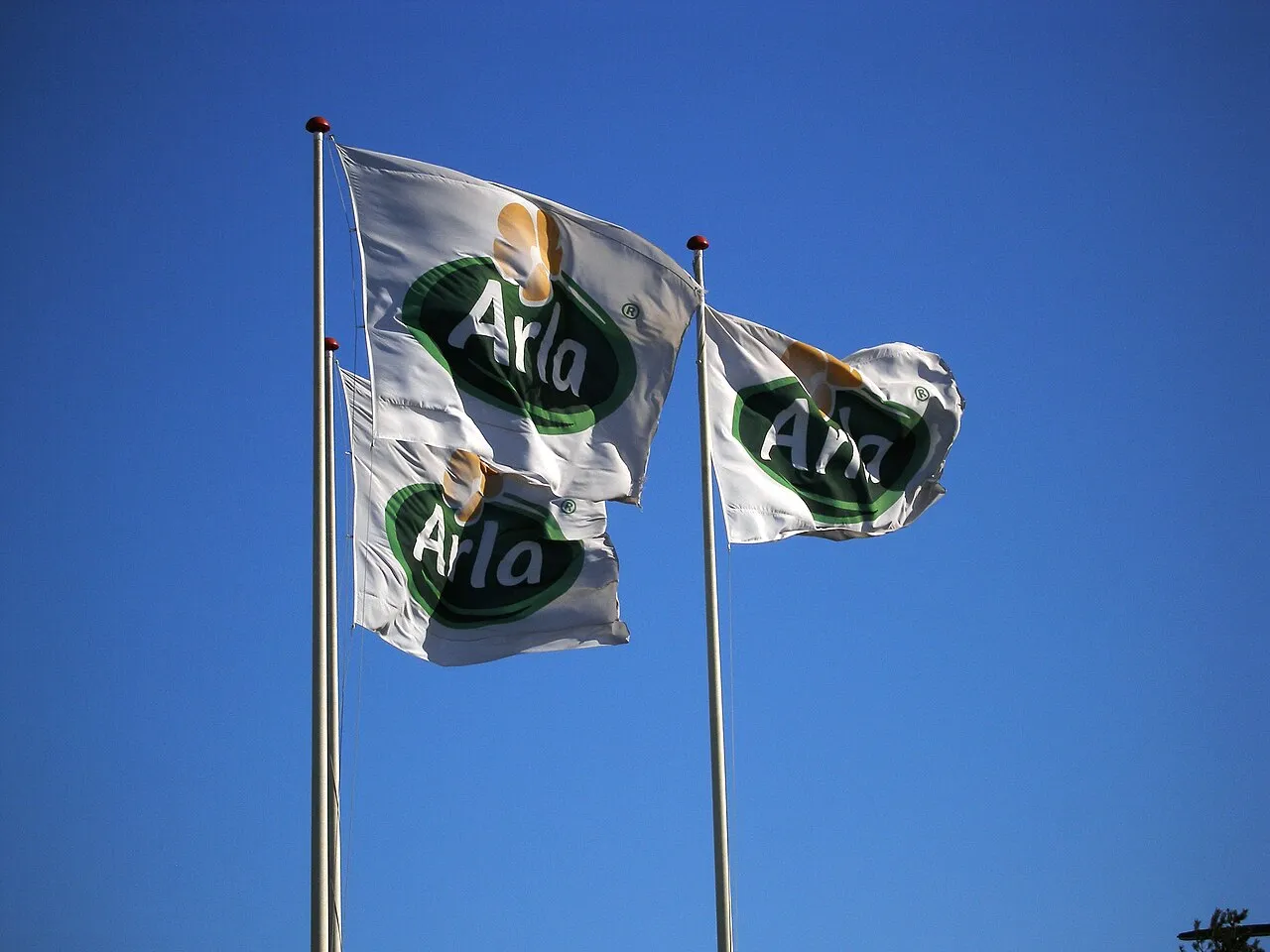Vlaggen van zuivelbedrijf Arla Foods bij een distributieterminal in Denemarken