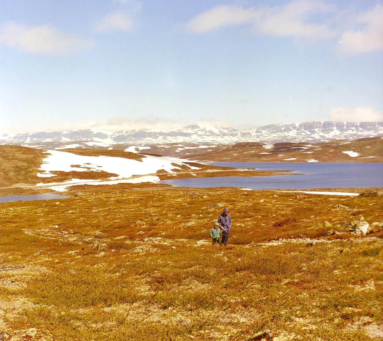 Het hoogplateau van Hardangervidda in Noorwegen, waar rijksweg 7 doorheen loopt.