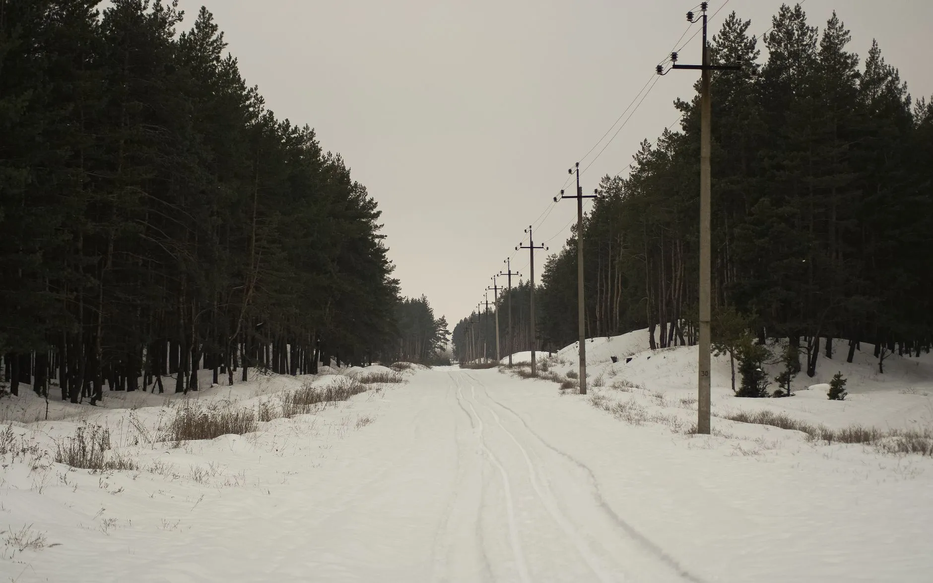 Sneeuwbedekte weg door een bos bij Novoosynove in de Oekraïense regio Charkov, met bovengrondse stroomleidingen.